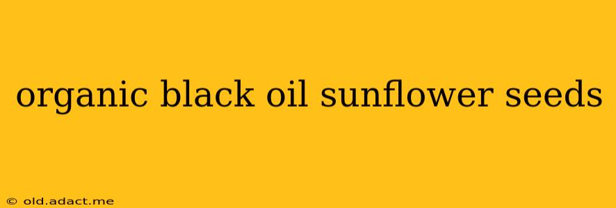 organic black oil sunflower seeds