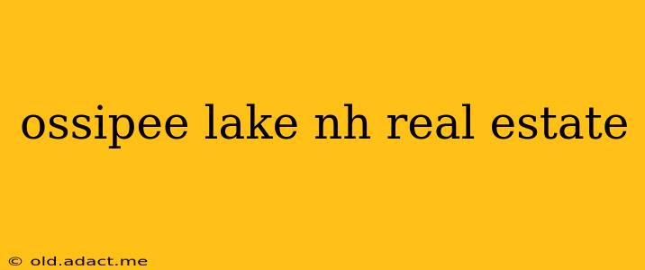 ossipee lake nh real estate