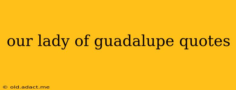 our lady of guadalupe quotes