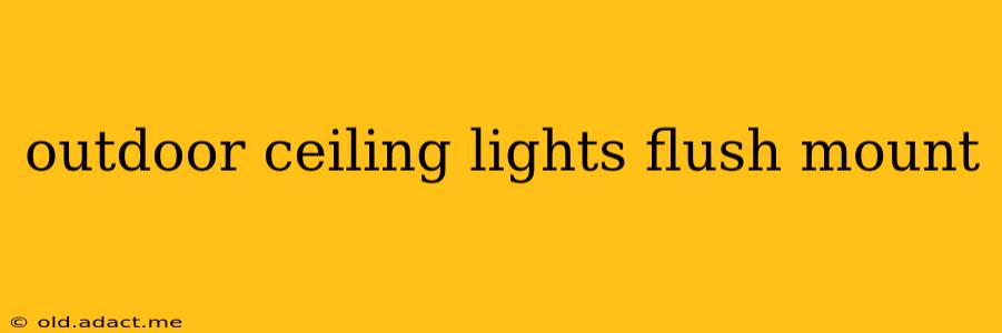 outdoor ceiling lights flush mount