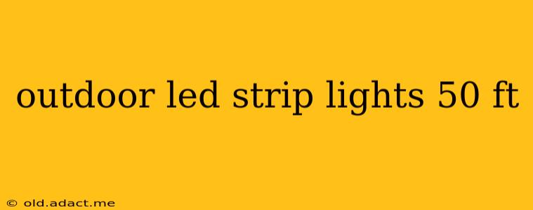 outdoor led strip lights 50 ft