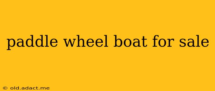 paddle wheel boat for sale