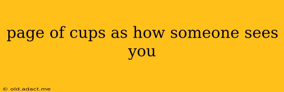 page of cups as how someone sees you