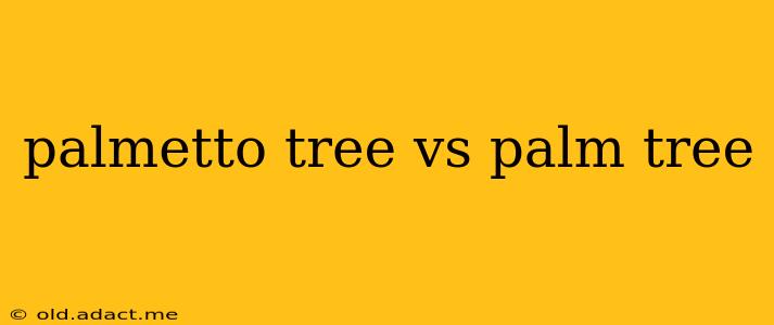 palmetto tree vs palm tree