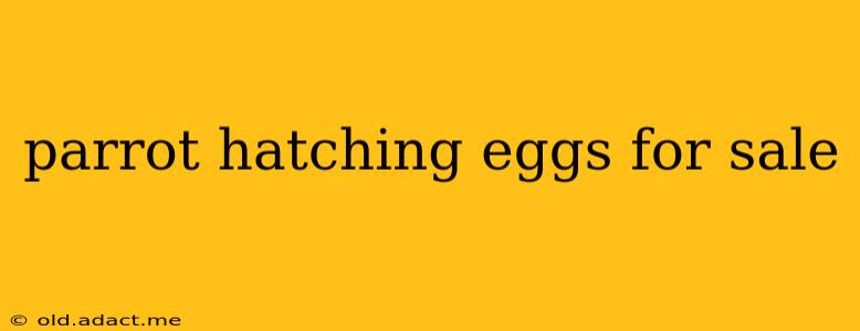 parrot hatching eggs for sale