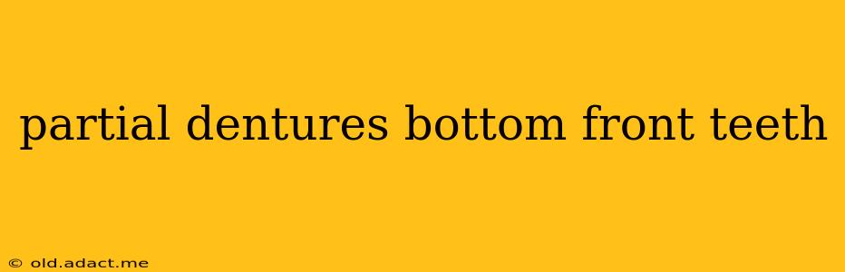 partial dentures bottom front teeth