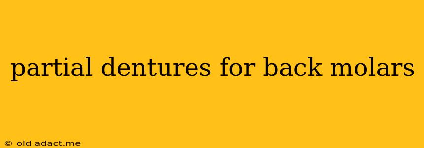 partial dentures for back molars
