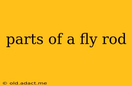 parts of a fly rod