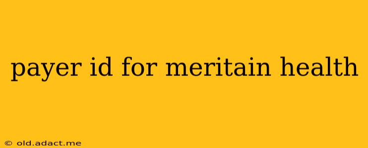payer id for meritain health
