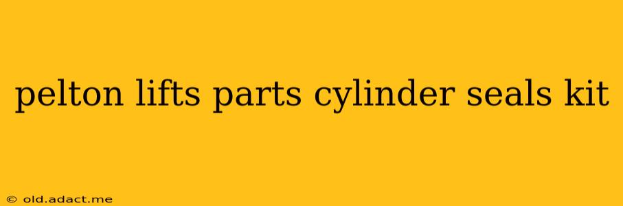 pelton lifts parts cylinder seals kit