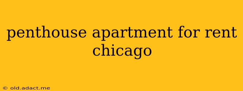 penthouse apartment for rent chicago