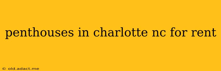 penthouses in charlotte nc for rent