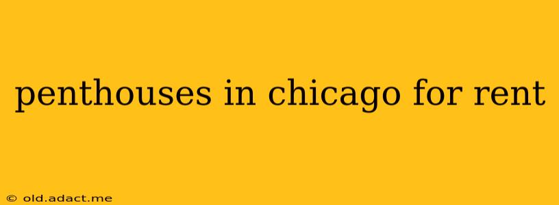penthouses in chicago for rent