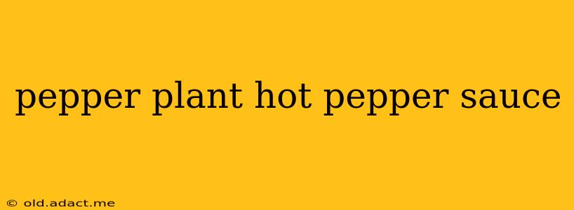 pepper plant hot pepper sauce