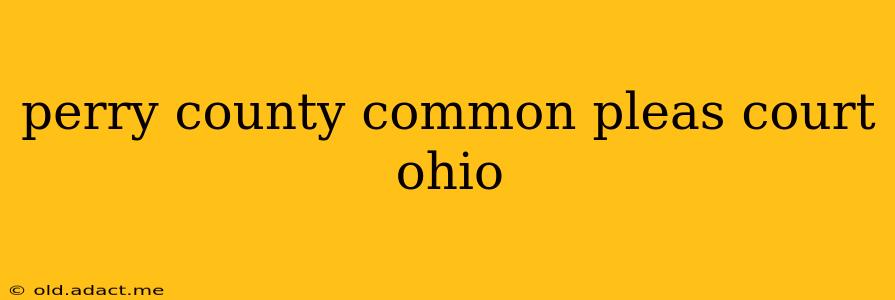 perry county common pleas court ohio