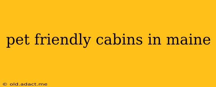 pet friendly cabins in maine