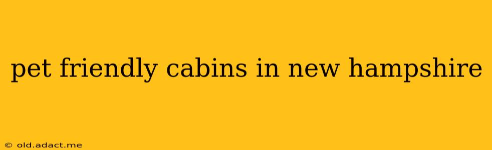 pet friendly cabins in new hampshire