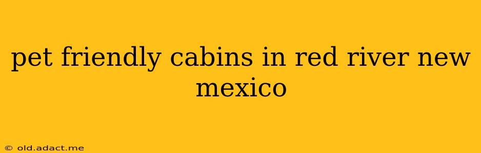pet friendly cabins in red river new mexico