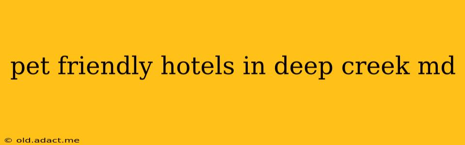 pet friendly hotels in deep creek md