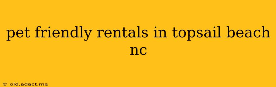 pet friendly rentals in topsail beach nc