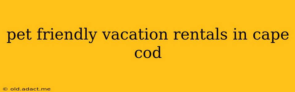 pet friendly vacation rentals in cape cod