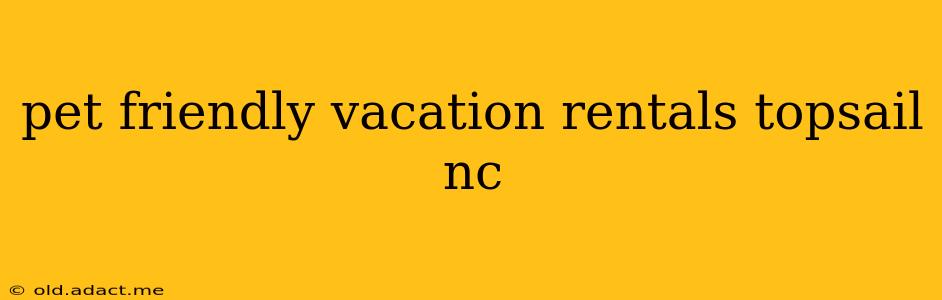 pet friendly vacation rentals topsail nc