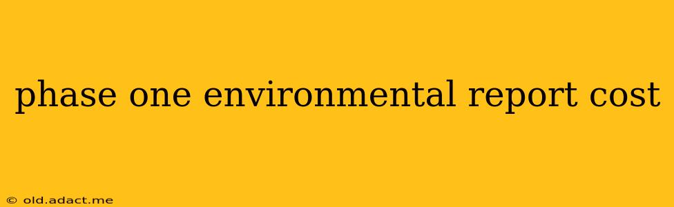 phase one environmental report cost