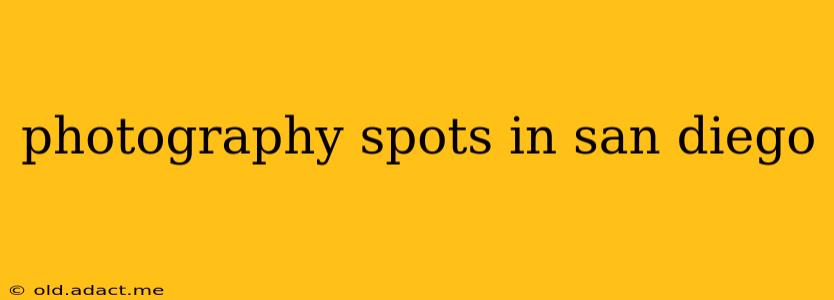 photography spots in san diego