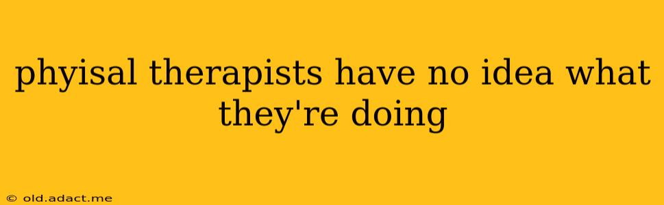 phyisal therapists have no idea what they're doing