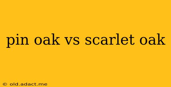 pin oak vs scarlet oak