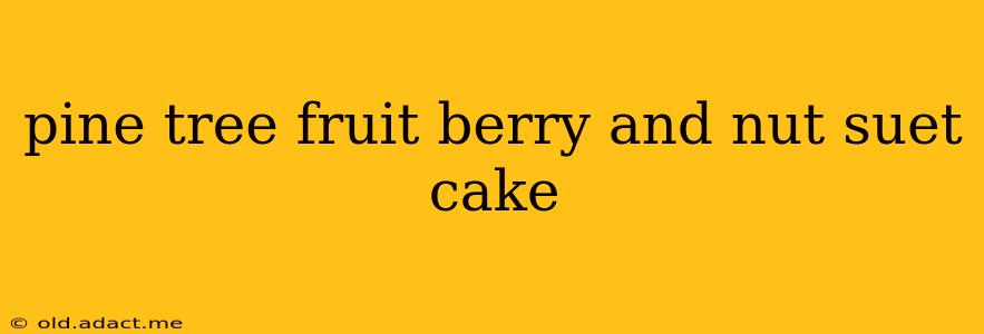 pine tree fruit berry and nut suet cake