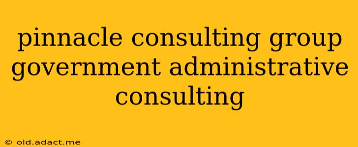 pinnacle consulting group government administrative consulting