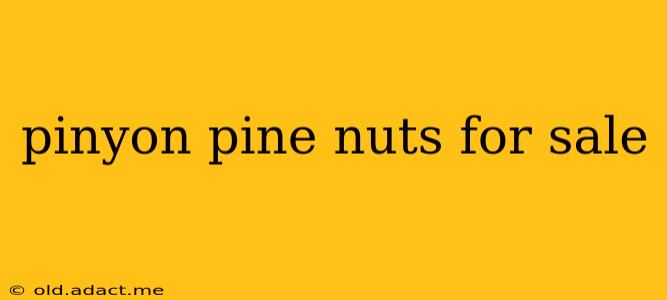pinyon pine nuts for sale