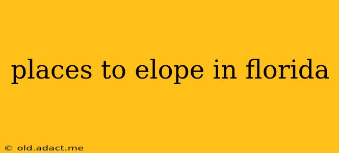 places to elope in florida