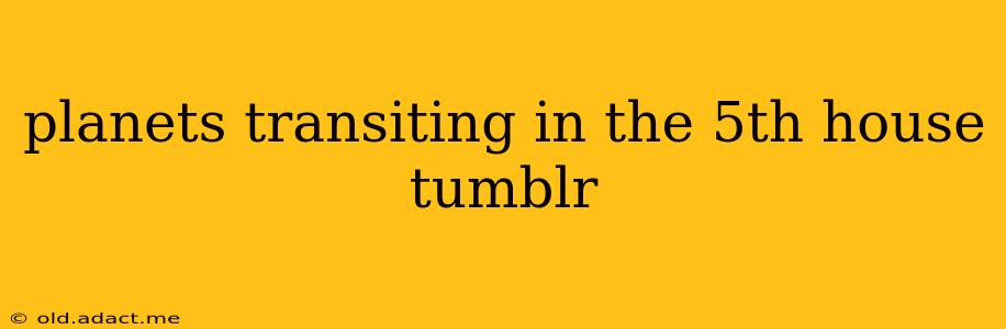 planets transiting in the 5th house tumblr