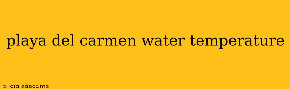 playa del carmen water temperature
