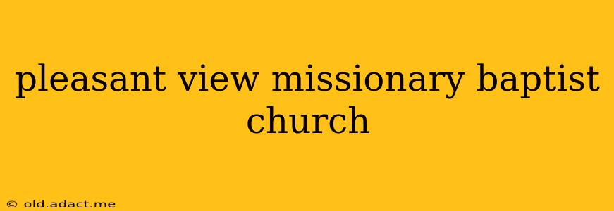 pleasant view missionary baptist church