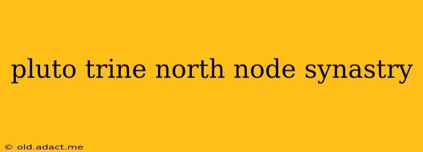 pluto trine north node synastry