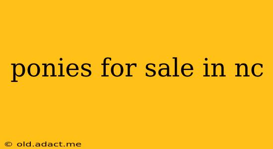 ponies for sale in nc