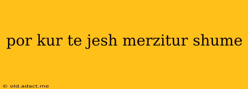 por kur te jesh merzitur shume