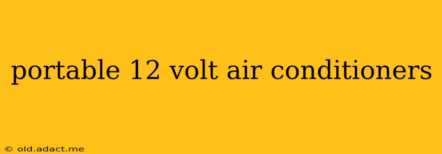 portable 12 volt air conditioners