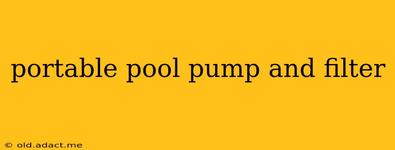 portable pool pump and filter