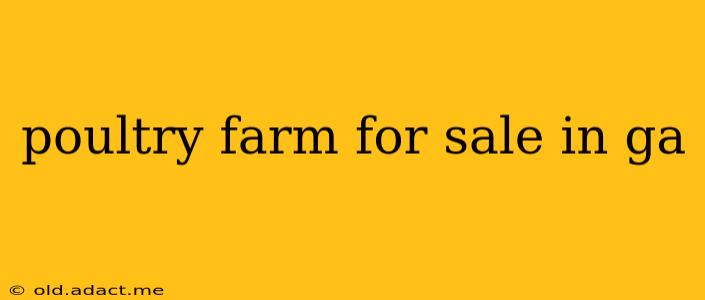 poultry farm for sale in ga