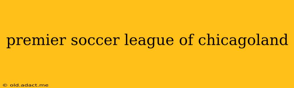 premier soccer league of chicagoland