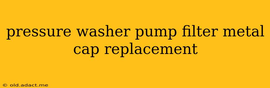pressure washer pump filter metal cap replacement