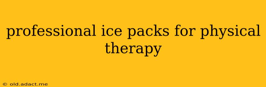 professional ice packs for physical therapy