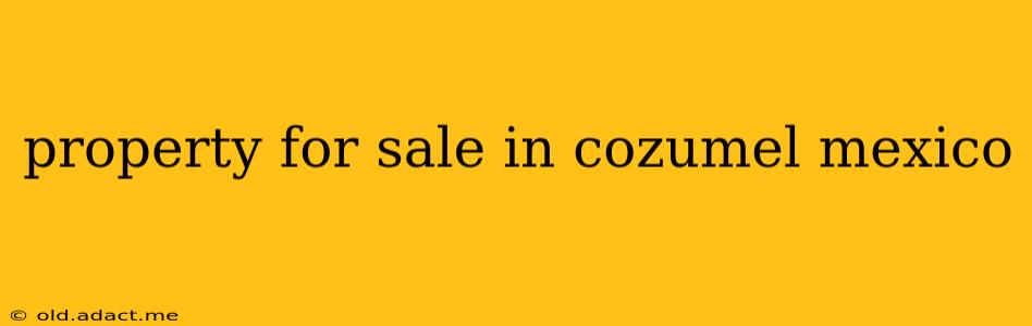 property for sale in cozumel mexico
