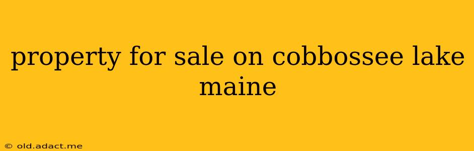 property for sale on cobbossee lake maine