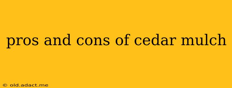pros and cons of cedar mulch