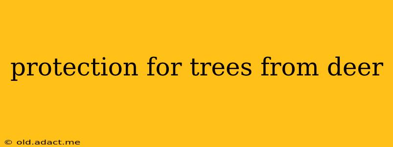 protection for trees from deer